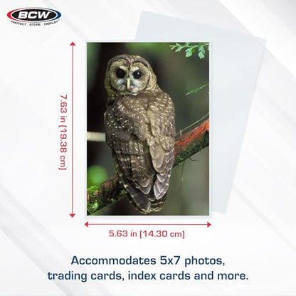BCW 5x7 Photo Sleeves – 100 ct | Acid Free, No PVC | Soft Clear Plastic Photo Sleeves | Archival Quality | Fits 5x7 Photos & BCW 5x7 Toploaders - size: 100-PACK