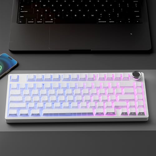 White Topographic PBT Keycaps,97 Key Caps Set Side Printed,No Tear & Fade Shine Through RGB Backlit Cherry Profile Keycaps (Ergonomic,Doubleshot) for 61/64/66/68/71/75/84/87 MX Mechanical Keyboards - color: 97 Keys-White