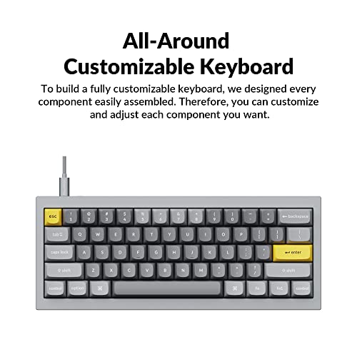 Keychron Q4 Wired Custom Mechanical Keyboard, QMK/VIA Programmable Macro, Full Aluminum, Hot-Swappable Gateron G Pro Brown Switch, 60% Layout Double Gasket Compatible with Mac and Windows - Blue - color: Gray (Gateron G Pro Brown Switch)