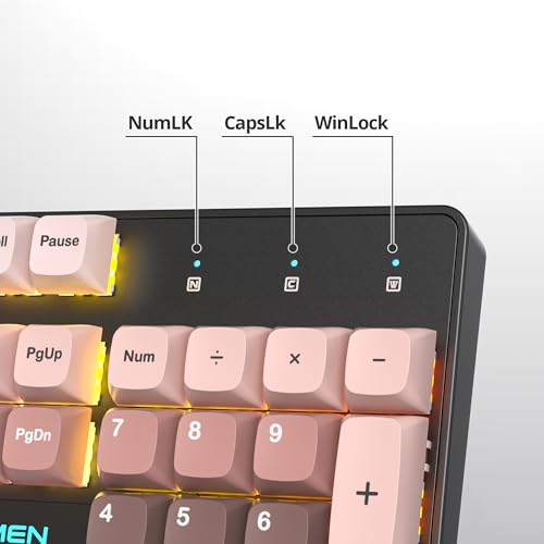 surmen Wired Mechanical Keyboard Full-Size,104-Key RGB Thocky Keyboard with Number Pad USB Retro Brown PBT Keycaps for Win Gaming/Office (104 Heimei) - color: 104 Heimei