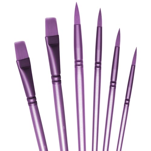 Acrylic Paint Brush Set, 6 pcs Watercolor Brushes, Painting Brush Nylon Hair Brushes for All Purpose Oil Watercolor Painting Beginner Kits (6, Purple) - color: Purple
