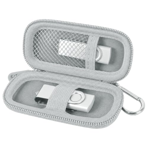 USB Flash Drive Case, SD Card/Thumb Drive/Memory Cards Holder, Bag Only | SDXC/SDHC Storage, Electronic Accessories Organizer for SanDisk / for Samsung, for Students/IT/Office/School/Travel, Silver - color: Sliver