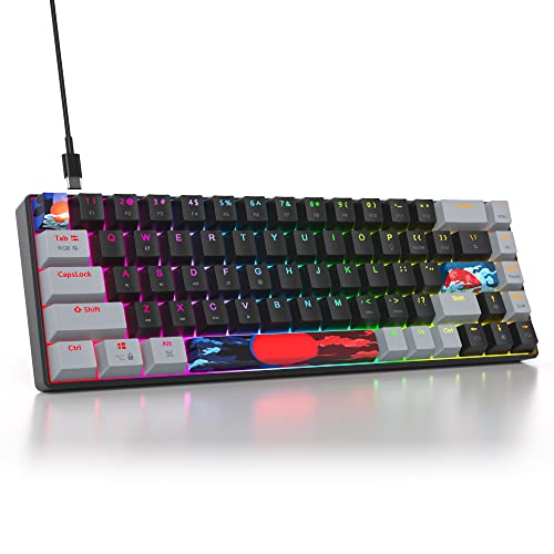 65% Mechanical Keyboard 68-Key Wired Gaming Keyboard with Red Switch RGB Lighting Effect PBT Keycaps Ultra-Compact Mini Keyboard Suitable for Win/Mac(68 Dark) - color: 68 Dark/Red Swicth
