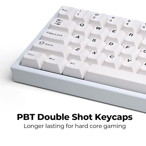 CyberPowerPC CK60 White 60% Hot-Swappable RGB Customizable Mechanical Gaming Keyboard, Dampening Foam, Aluminum CNC Case w/Gateron Red Switches and PBT Keycaps - color: White