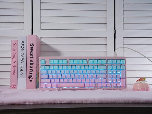 ZORNHER ZH980 Mechanical Keyboard,95% Pink & Blue Creamy Keyboard with Number Pad,Gaming Keyboard Full Size,Shine Through PBT Keycaps,Creamy Sounding Linear Switches - color: Pink & Blue Grandient, size: Creamy Switch