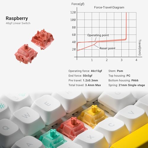 nuphy Halo65 V2 Wireless Mechanical Keyboard with PBT Keycaps,65% Hot Swappable Custom Gaming Keyboard Compatible with QMK/VIA,RGB Backlit,Gasket Structure,BT5.0/USB-C/2.4GHz,Black-Raspberry Switches - color: Black, size: Raspberry Switch