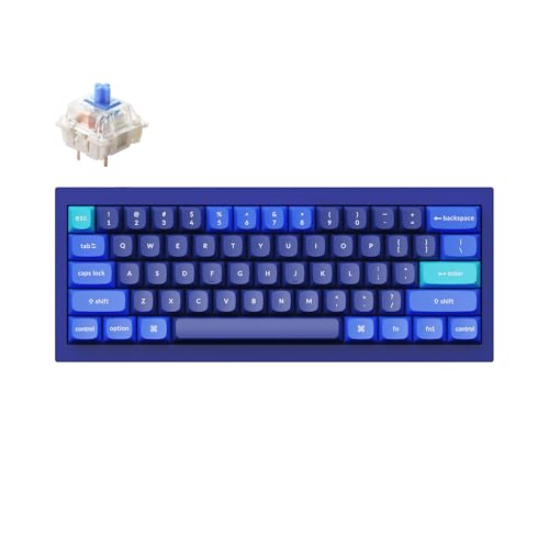 Keychron Q4 Wired Custom Mechanical Keyboard, QMK/VIA Programmable Macro, Full Aluminum, Hot-Swappable Gateron G Pro Blue Switch, 60% Layout Double Gasket Compatible with Mac and Windows - Blue - color: Blue (Gateron G Pro Blue Switch)