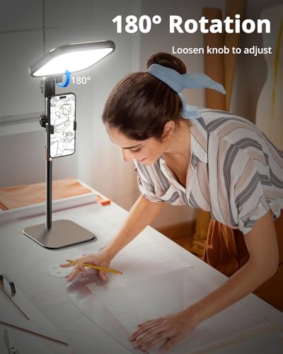 UBeesize Zoom Lighting for Computer, Video Conference Lighting for Video Calls, Desk Light with Stand and Phone Holder for Webcam, Home Office, Podcast, Online Meetings, Live Streaming - style: 1-pack