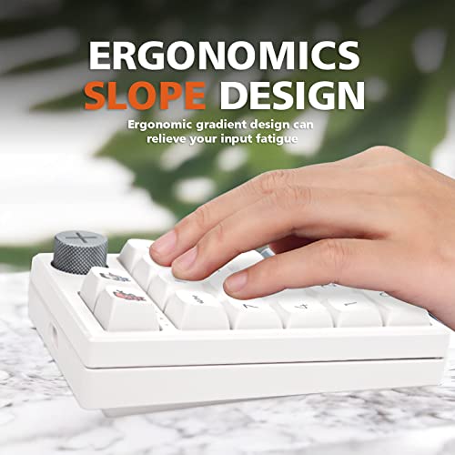 Darmoshark K3 Pro Three Mode 2.4G/BT5.0/USB-C Wireless Bluetooth Mechanical Number Keyboard - 19 Key Mini Portable RGB Backlight Game Keyboard - size: K3PRO