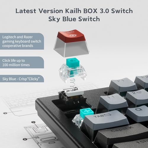 Hexgears X5 Wireless Mechanical Keyboard, Dual-Mode 2.4G/USB-C Ergonomic Full Size 108 Keys Keyboard, Kailh Box 3.0 Linear Switch, N-Key Rollover, Backlit Gaming Keyboards with Wrist Rest (Dark) - color: Dark Knight-X5, size: Linear