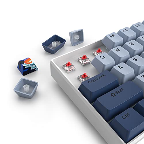 Owpkeenthy 65 Percent Mechanical Gaming Keyboard Hammerhead Shark with Red Switch Ultra Compact RGB Wired 60% Gaming Keyboard N-Key Rollover for PC Gamer Box PS - color: Hammerhead Shark/ 68 Red Switch