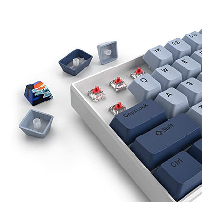 Owpkeenthy 65 Percent Mechanical Gaming Keyboard Hammerhead Shark with Red Switch Ultra Compact RGB Wired 60% Gaming Keyboard N-Key Rollover for PC Gamer Box PS - color: Hammerhead Shark/ 68 Red Switch