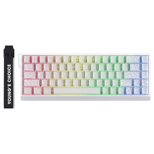 MCHOSE ACE 68 60% Mechanical Gaming Keyboard Wired Rapid Trigger Hall Effect Keyboard Magnetic Switch Hyper-Fast 8000Hz Adjustable Actuation, Hot Swap, RGB PC MAC Laptop (White Topographic Ice Rhino) - color: 68-White Topographic Ice Rhino Switch