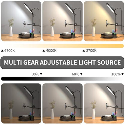Selfie Light Kit for Desk and Laptop,55W Dimmable Full Screen Ring Light,with Rotating Storage Box,Pen Holder Stand,Phone Holder and Controller (White, 10.5) - color: White