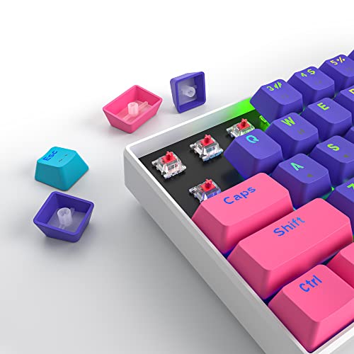 Protable 60% Percent Gaming Keyboard Mechanical, Mini Compact RGB Backlit 61 Keys Wired Office Keyboard with red Switch for Mac/Win (Purple/red Switch) - color: purple/red Switch