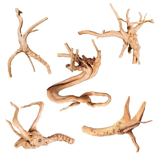 majoywoo Natural Driftwood for Aquarium Decor Fish Tank Decorations, Assorted Spider Wood Branch 4-8" 5 Pcs, Reptile Decor - size: Spiderwood 4 to 8 Inch(Pack of 5)