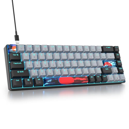 Protable 60% Percent Gaming Keyboard Mechanical, Mini Compact RGB Backlit 68 Keys Wired Office Keyboard with Red Switch for Mac/Win (Dolch/red Switch 68) - color: Dolch/red Switch 68