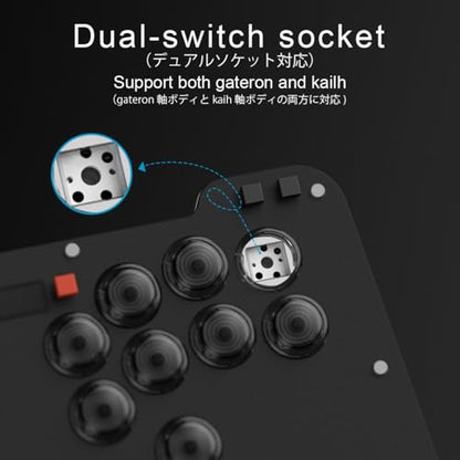 BITFUNX Duelpad Leverless Controller Arcade Stick, Zen16 Arcade Controller for PC/PS3/PS4/PS5/Switch/Steam, All-Button Arcade Fight Stick with SOCD/TURBO/Custom RGB/Hot-Swap/Low-Profile Switch - size: Extra Large