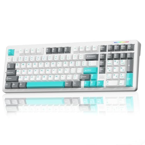 LINGBAO K98 - 96% Mechanical Keyboard Wireless,10000mAh Battery,Wireless Gaming Keyboard BT5.0/2.4G/USB-C, Gasket Hot Swappable,RGB Backlit, Creamy Sounding Keyboards with Number Pad for Win/Mac/PC - color: K98 | 10000mAh | White Blue Grey
