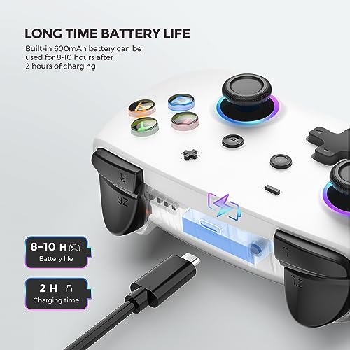 ECHTPower Switch 2 Pro Controller with Hall Effect Joysticks, One-Key Wake-Up for Switch 2, Wireless Controller for Switch 2/Switch/Lite/OLED, Turbo Button, 4 Back Buttons, RGB Lighting, 3.5mm Jack, Dual Vibration, 6-Axis Gyro (White 1) - color: White 1