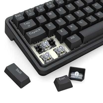 Redragon K722 60% Wired Gasket RGB Gaming Keyboard, 61 Keys Hot-Swap Compact Mechanical Keyboard w/Free-Mod Socket, 3-Layer Noise Dampening, Quiet Custom Linear Switch