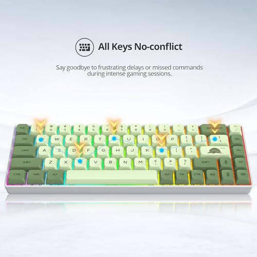 65% Mechanical Keyboard Wired Linear Red Switch RGB Backlight | 65 Percent 68-keys Compact Layout Gaming Keyboard TKL Ultra-Compact Mini RGB Backlit - color: 68 Matcha/Red Switch