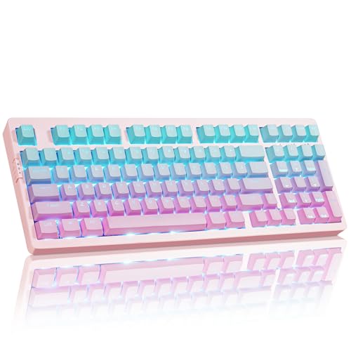 ZORNHER ZH980 Mechanical Keyboard,95% Pink & Blue Creamy Keyboard with Number Pad,Gaming Keyboard Full Size,Shine Through PBT Keycaps,Creamy Sounding Linear Switches - color: Pink & Blue Grandient, size: Creamy Switch