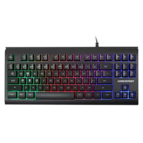 Lumsburry Computer Keyboard, 87 Keys Compact Wired USB Keyboard with Rainbow LED Light Up Backlit for PC Gaming Laptop Teclado Gamers Office Working