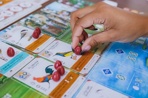 Stonemaier Games: Wingspan Asia by Elizabeth Hargrave | Standalone Game or Expansion to Wingspan | A Relaxing Game About Collecting Birds | Add to Wingspan for 6-7 Players | 1-2 Players, 70 Mins