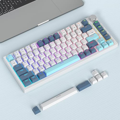 Owpkeenthy 75 Percent Mechanical Keyboard, 82 Key Gasket Mounted Hot Swappable with Volume Knob, Wired RGB Backlit NKRO Compact Gaming Keyboard for PC Laptop (82Shoko) - color: 82 Shoko