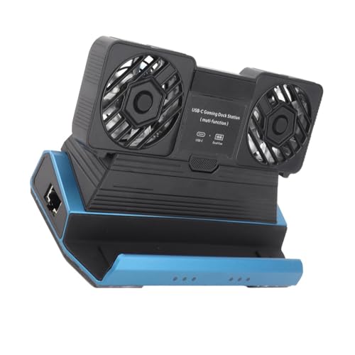 9 in 1 Docking Station for Steam Deck, Rog Ally X, Legion Go, Claw, Gaming Console Dock with Detachable Dual Cooling Fan, 4 USB Ports, 100W PD Charging