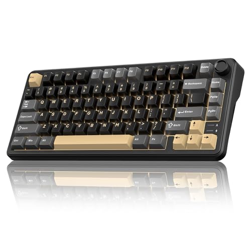 RedThunder K75 Wireless Mechanical Keyboard, CNC Knob, Tri-Mode BT5.0/2.4GHz/USB-C Hot Swappable Custom, Pre-lubed Linear Coconut Switches, Gasket Structure, RGB Gaming Keyboard, Black-Gold - color: Black Gold