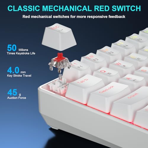 BlueFinger 60% Mechanical Gaming Keyboard and Mouse Combo - RGB Rainbow Backlit 61 Keys Red Switch Keyboard & 4 DPI LED Gaming Mouse, USB Wired Set for PC Laptop Xbox PS4 PS5, White - color: White