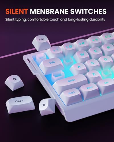 SEUNKWANG F68 Gaming Keyboard, Portable 60% Compact Mini Keyboard with 68 Round PBT Keycaps, Wired RGB Backlit Mechanical Feel Keyboard for PC Laptop Windows Gamer, White