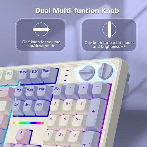 E-YOOSO Creamy Mechanical Gaming Keyboard Wired, Full Size, White Pink | Gasket Structure with Sound Dampening Foam, Led Backlit, Hot Swappable, Pre-lubed Linear Switches, Custom Keyboard for PC/Mac - color: White Pink Purple