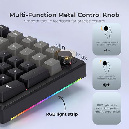 LUMI101 Wireless Mechanical Keyboard,Full-Size Keyboard with Numeric keypad，Tri-Mode BT5.0/2.4GHz/USB-C Hot Swappable Custom Keyboard,RGB Backlit Computer Gaming Keyboards(Grey Mute Switch) - color: Grey Mute Switch