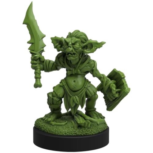 Epic Encounters: Village of The Goblin Chief - RPG Fantasy, Tabletop Game with 20 Miniatures, Double-Sided Game Mat, & Game Master Adventure Book with Monster Stats