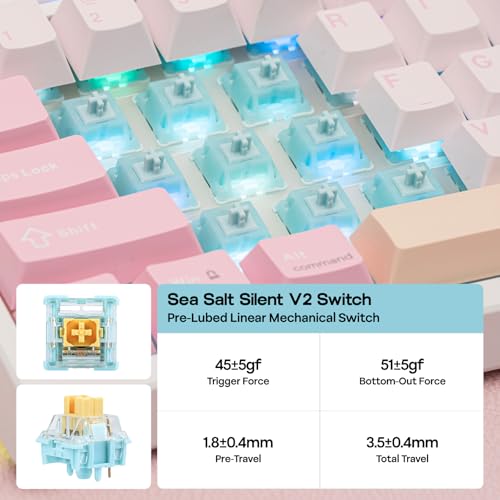 EPOMAKER TH108 PRO Full Size Mechanical Keyboard with Screen & Knob, Wireless Gaming Keyboard with 10000mAh, Creamy Gasket, Hot Swap, Custom Driver, RGB Backlight, NKRO (Pink, Sea Salt Silent) - color: Pink, size: Sea Salt Silent