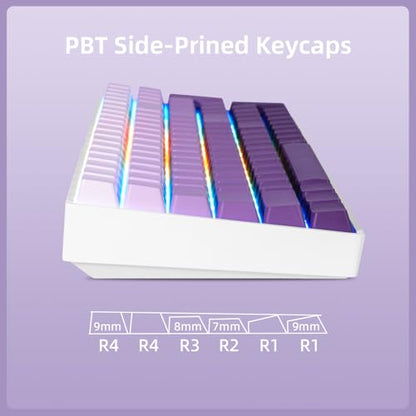 ZORNHER ZH100 Wireless Mechanical Keyboard,98% Purple Creamy Keyboard with Number Pad,Full Size Gaming Keyboard,Lighted Up PBT Dipped Keycaps,KKT Red Switches - color: Purple Gradient, size: TTC Red Switch (Linear Switch)