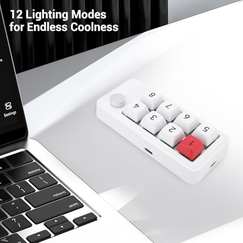 Wired USB C Numeric Keypad, 8 Keys Programmable One Handed Macro Mechanical Keyboard with Knob, for Tablet Laptop Desktop (White) - color: White
