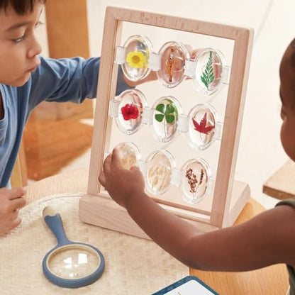 Kaplan Early Learning Company Specimen Stone Tabletop Stand