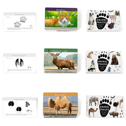 MEROCO Safari Animal Tracks Card Game, Farm Animal Flash Cards, Matching Game - Kids Science Learning Educational Toys for Homeschool, Preschool, Autism - 3 Years Old & Up - style: Triple Tracks Card Sets (70% Choose)