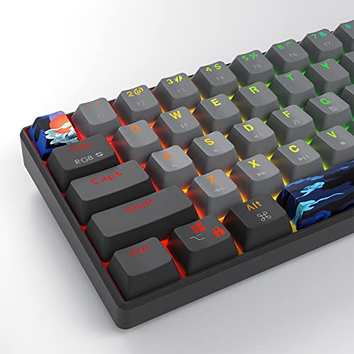 60% Mechanical Keyboard Wired Clicky Blue Switch RGB Backlight | 60 Percent 61-keys Compact Layout Gaming Keyboard TKL Ultra-Compact Mini RGB Backlit - color: 61 Dolch/Blue Switch