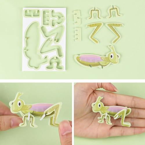 LOMIMOS Educational 3D Cartoon Puzzle,3D Cartoon Jigsaw Creative Learning Model for for Boys & Girls Art DIY Craft Gift Decor (Insect) - style: insect