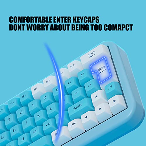 7KEYS 60% 2.4G Wireless Gaming Keyboard with Wrist Rest, Compact 63 Keys Mini RGB Light up Keyboard for PC Mac Laptop, Portable, Rechargeable Quiet for Typing and Gaming (Blue&White)