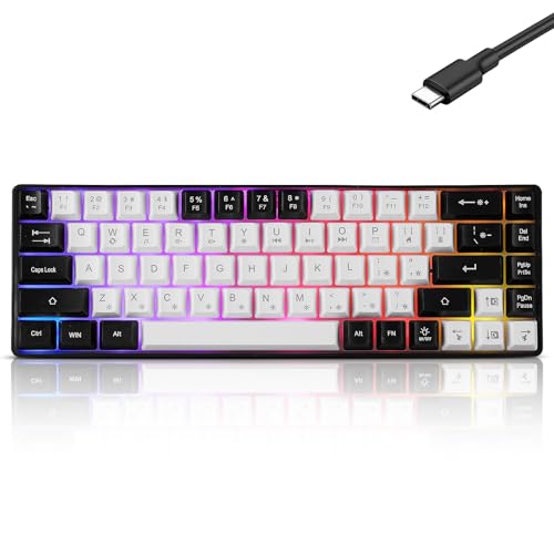 Guiheng Wired Portable 60% Mechanical Gaming Keyboard,RGB LED Backlit Compact 68 Keys Mini Wired Office Keyboard with Red Switch for Windows Laptop PC Mac - White - color: White and black
