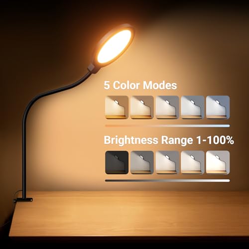 NEEWER Entry Level Version 5" Edge Lit Streaming Light with Desk Clamp Stand, 10W Bi Color Full Screen LED Ring Light CRI80+, Computer Laptop Webcam Zoom Call Video Conference Recording Lighting, N32