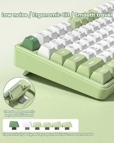 Womier DK75 75% Wireless Gaming Keyboard, RGB Backlit Creamy Keyboard with Media Knob, OLED Screen, Tri-Mode 2.4GHz/USB-C/BT5.0, Anti-Ghosting No-Conflict Silent Membrane Keyboard for MAC Windows - color: Green
