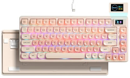 Womier SK80 75% Foundation Mechanical Keyboard with Multimedia Display | Pink Gaming Creamy Keyboards, Jelly Keycaps Hot Swap RGB Wired Key board Pre-lubed POM Switch for Mac/Win, Pink - color: Pink