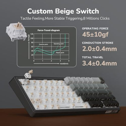 RK ROYAL KLUDGE R65 Wired Gaming Keyboard with Volume Knob, 60% Percent RGB Backlit Mechanical Keyboard, Side Printed PBT Keycaps, QMK/VIA, 66 Keys Hot Swappable Beige Switch, Gradient Black - color: Gradient Black